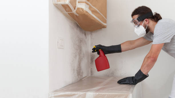 Professional Bathroom Mold Removal technician working in Capron, VA